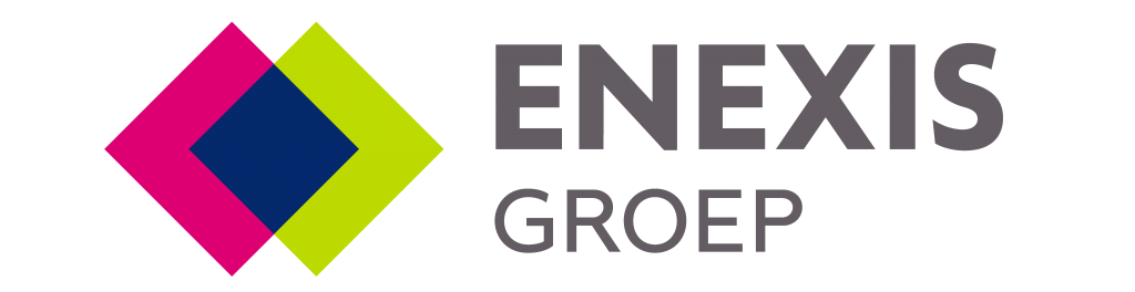 Logo-Enexis-Groep-e1639381883761-1024x264